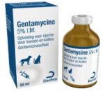 gentamicina