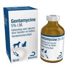 gentamicina
